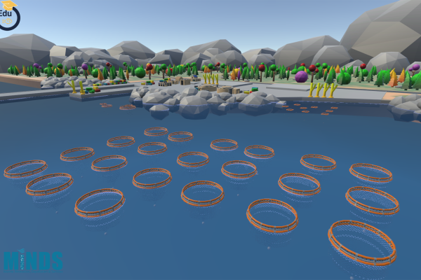 An aspect of the cage farm in the BlueAquaEdu game